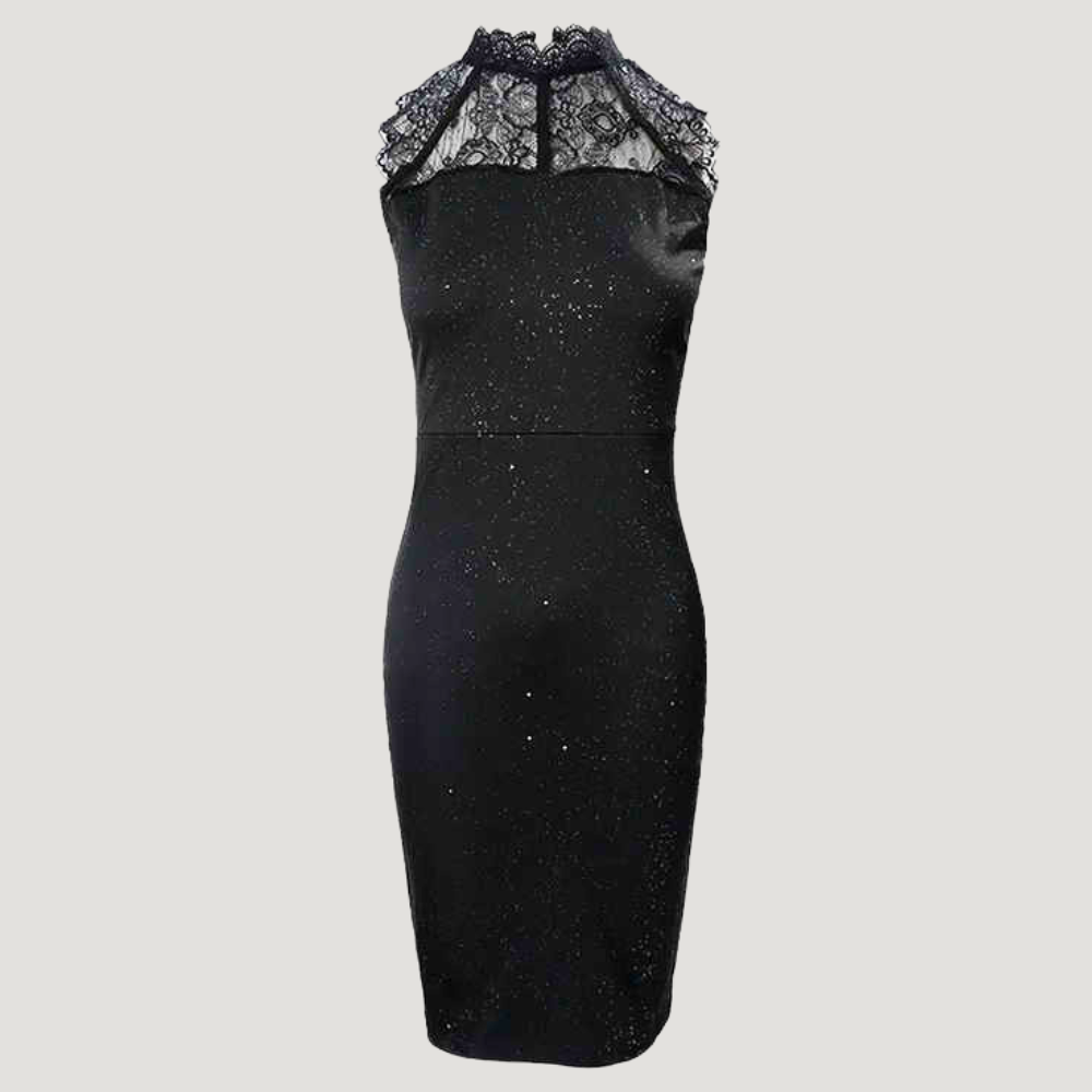 Elise Lace Mini Dress Elegance Crate
