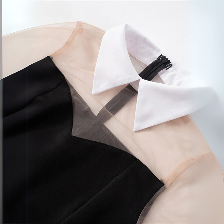 Noir Elegance Collar Dress Black