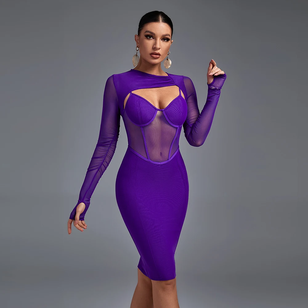 Amethyst Illusion Mesh Dress Elegance Crate