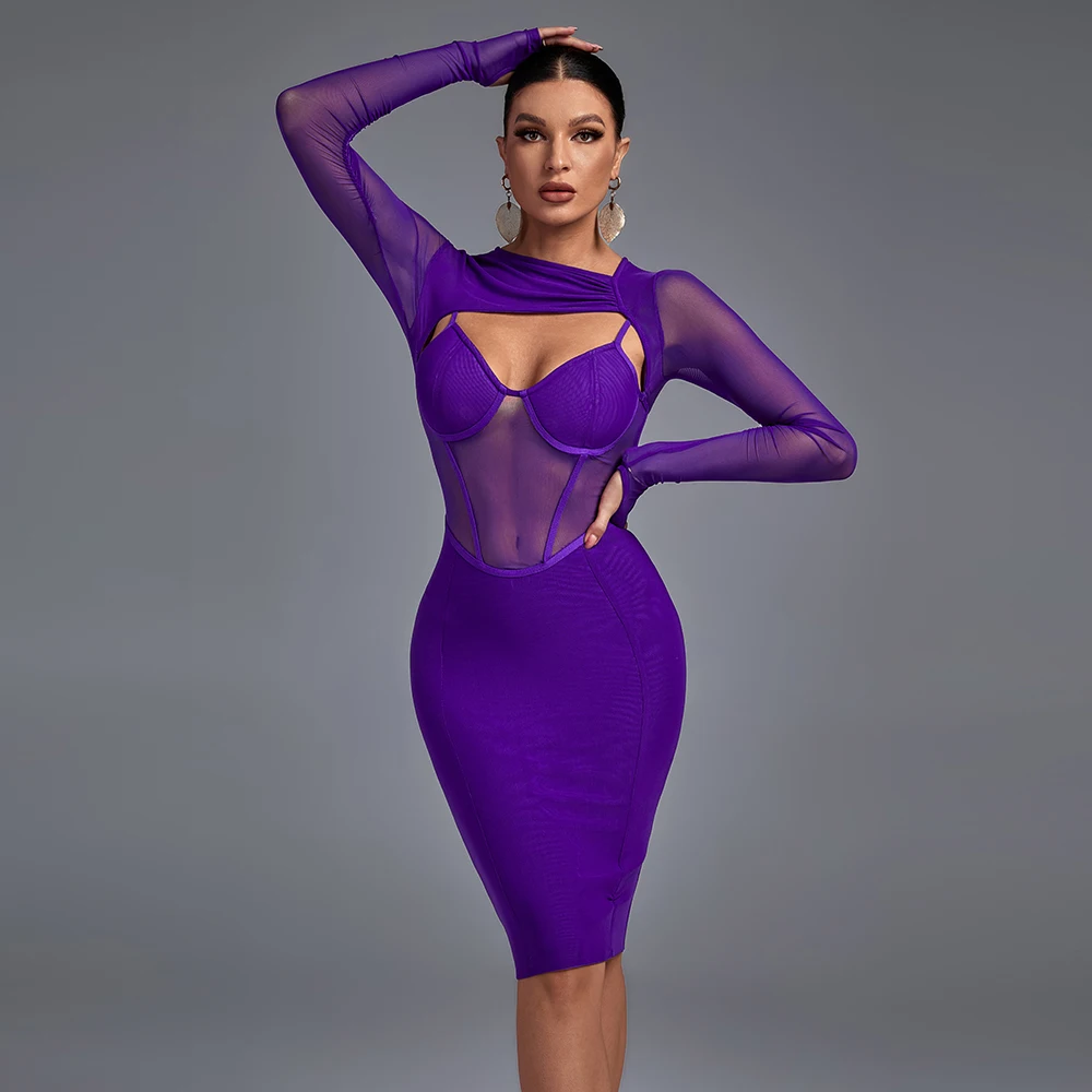 Amethyst Illusion Mesh Dress Elegance Crate