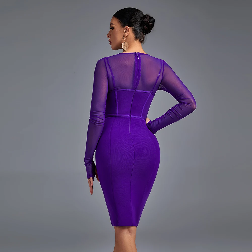 Amethyst Illusion Mesh Dress Elegance Crate
