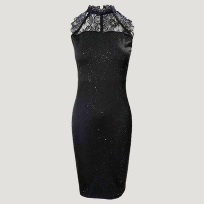Elise Lace Mini Dress Elegance Crate